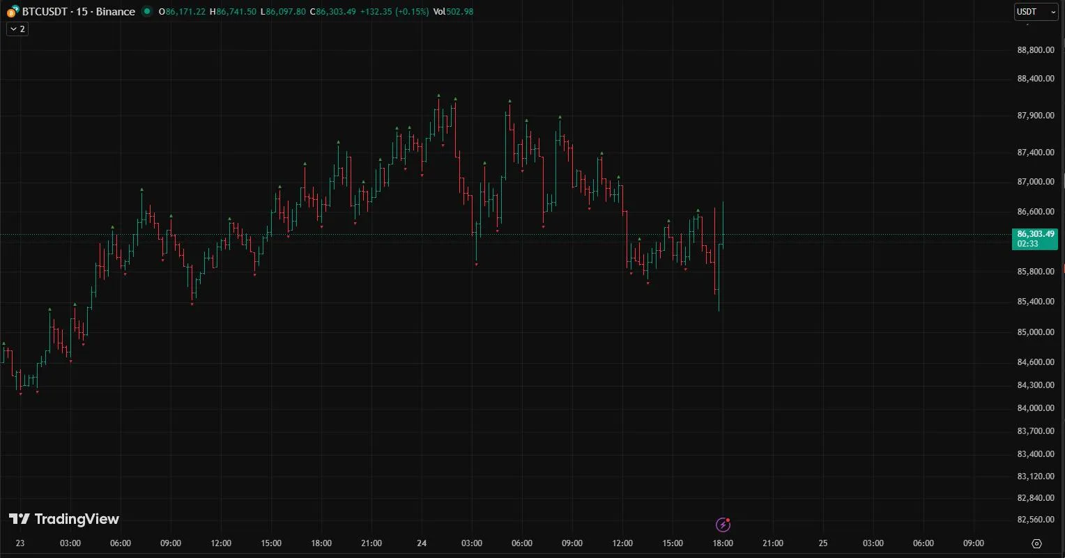 Bitcoin price chart for November 24, 2025