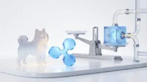 xrp doge flows