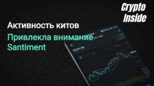 активность китов в альткоинах