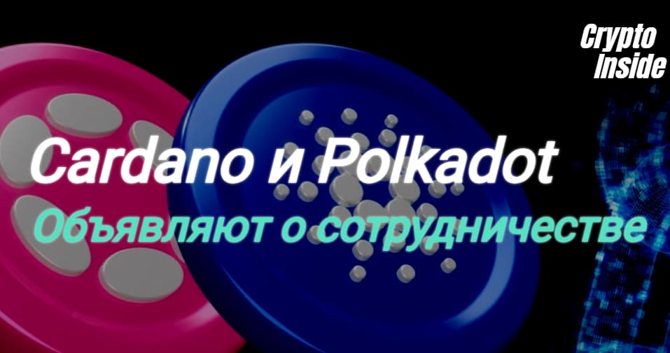 Cardano и Polkadot объявляют о сотрудничестве