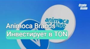 animoca brands