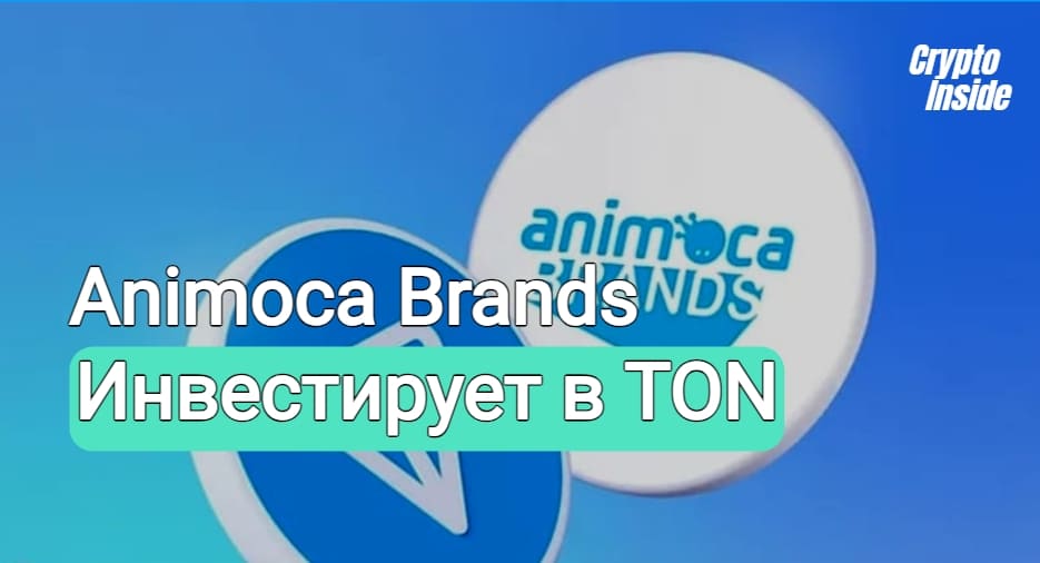 Animoca Brands инвестирует в TON и становится крупнейшим валидатором блокчейна