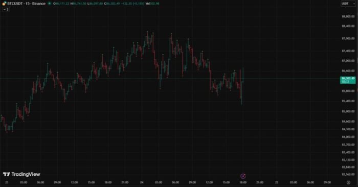 Bitcoin price chart for November 24, 2025