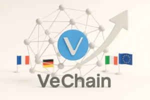 VeChain Hayabusa — демократизация валидации и новая токеномика VeChain Hayabusa — демократизация валидации и новая токеномика